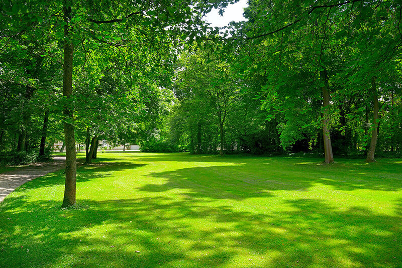 Einfach mal raus – in den Park